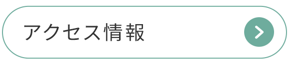 アクセス情報